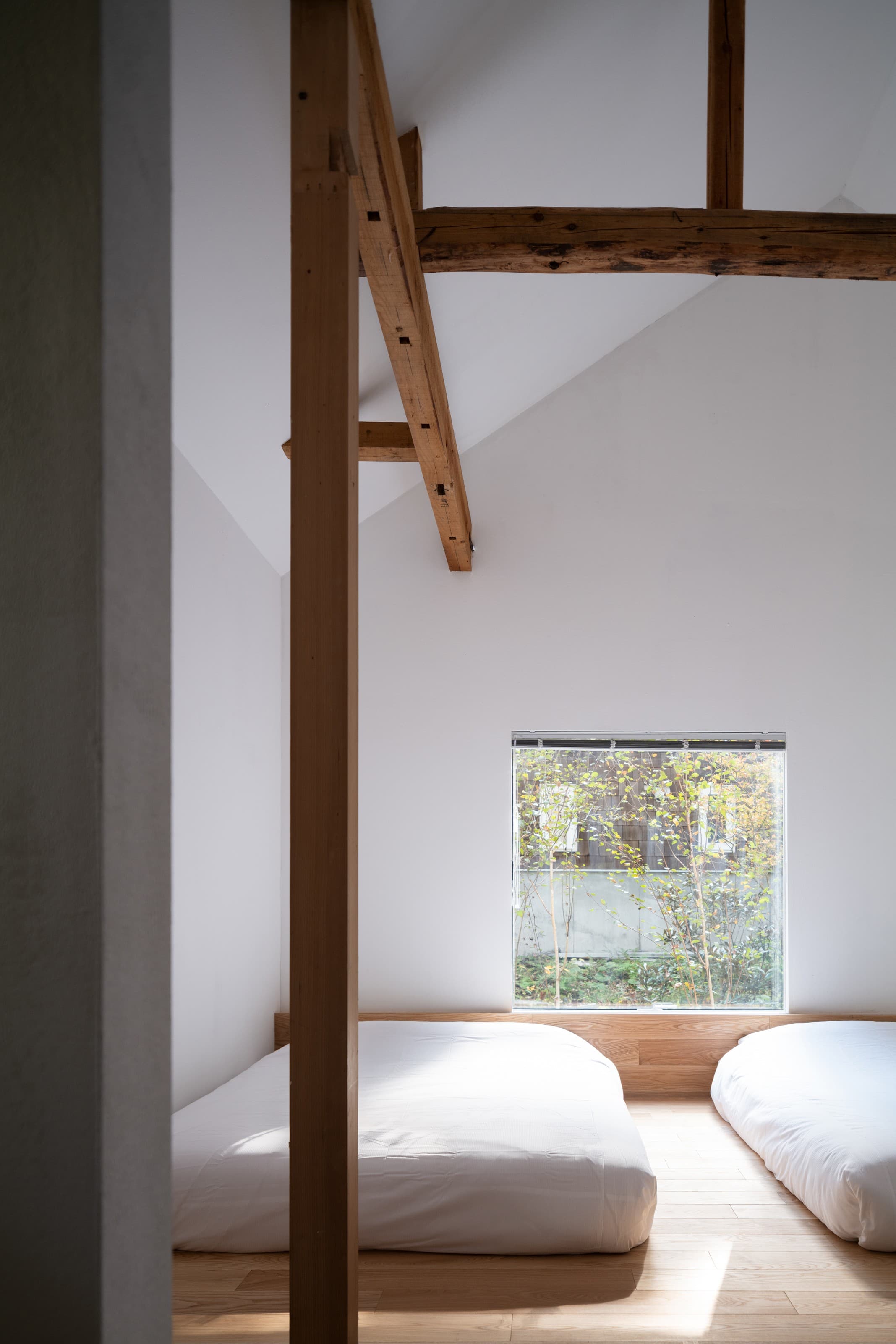 WHITE HUT