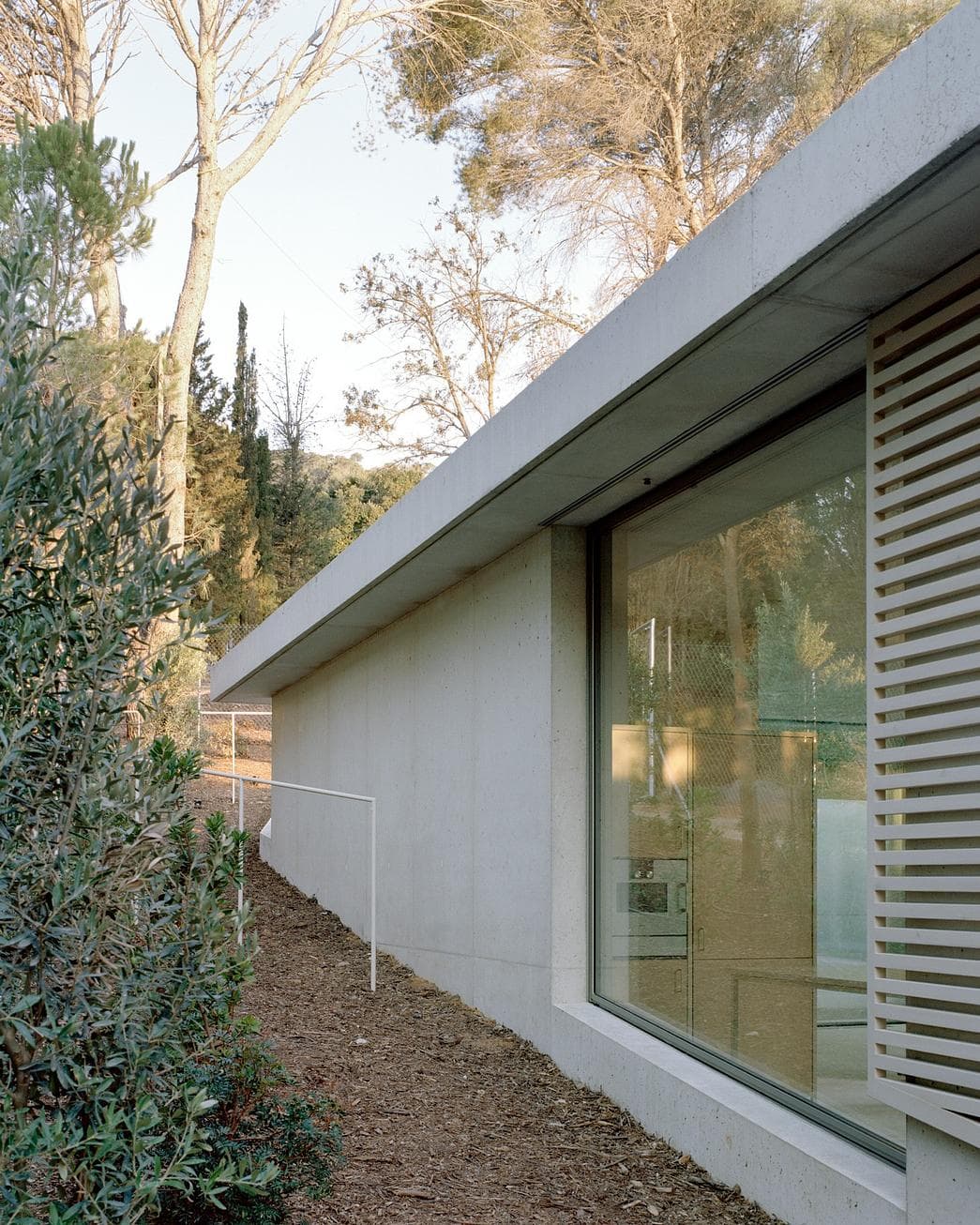 Patio House