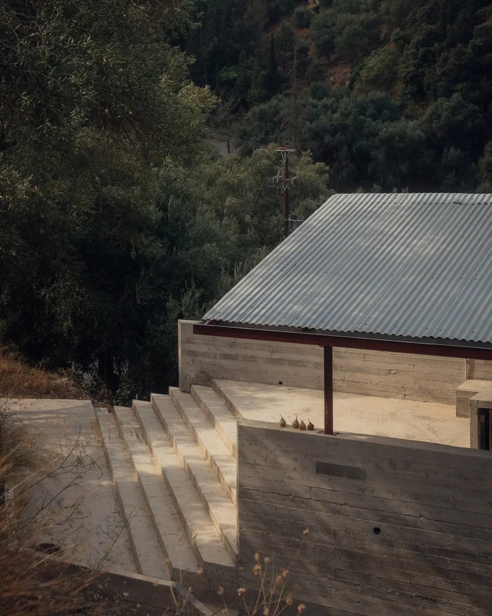 House in an Olive Grove