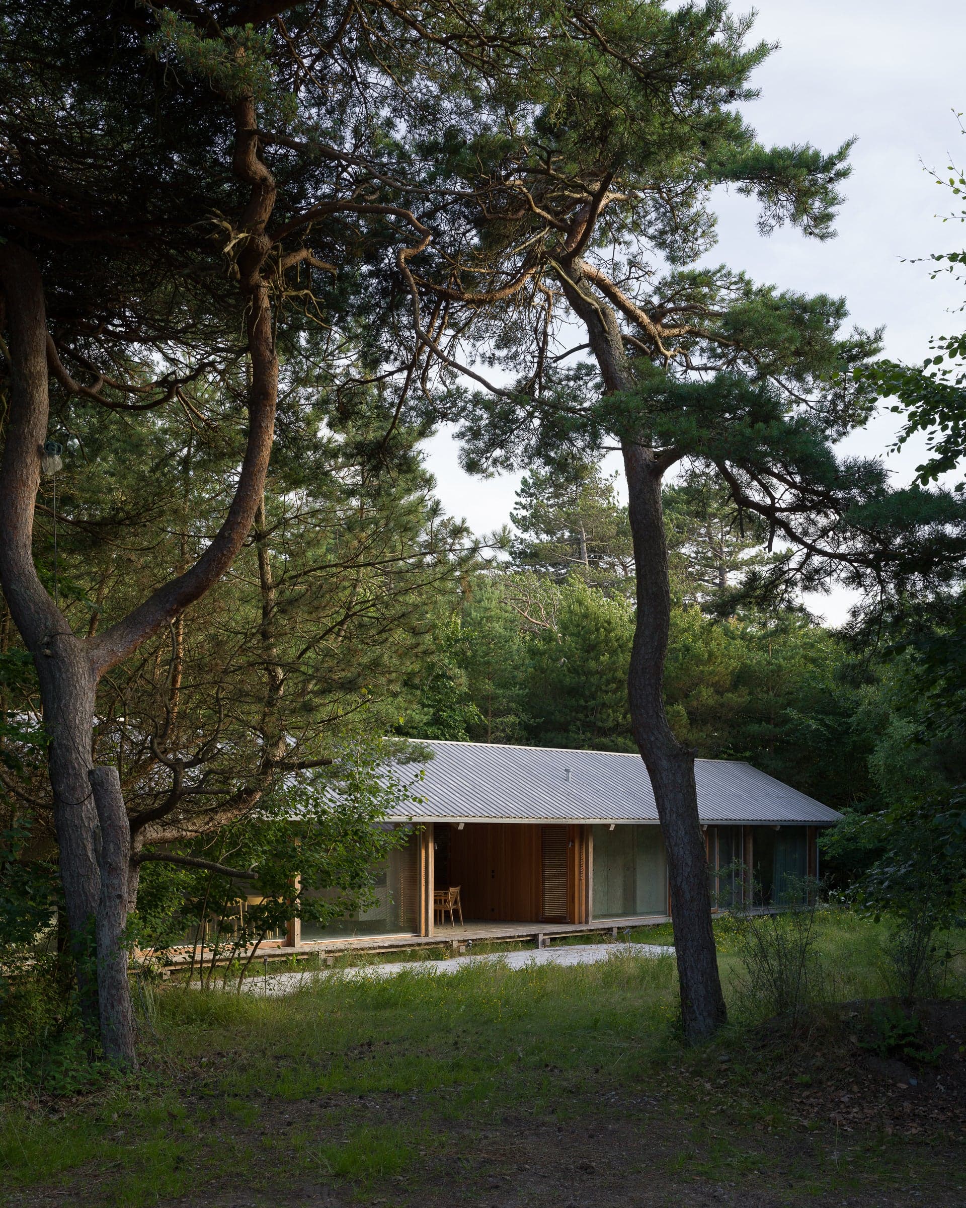 Summer Houses in Rågeleje