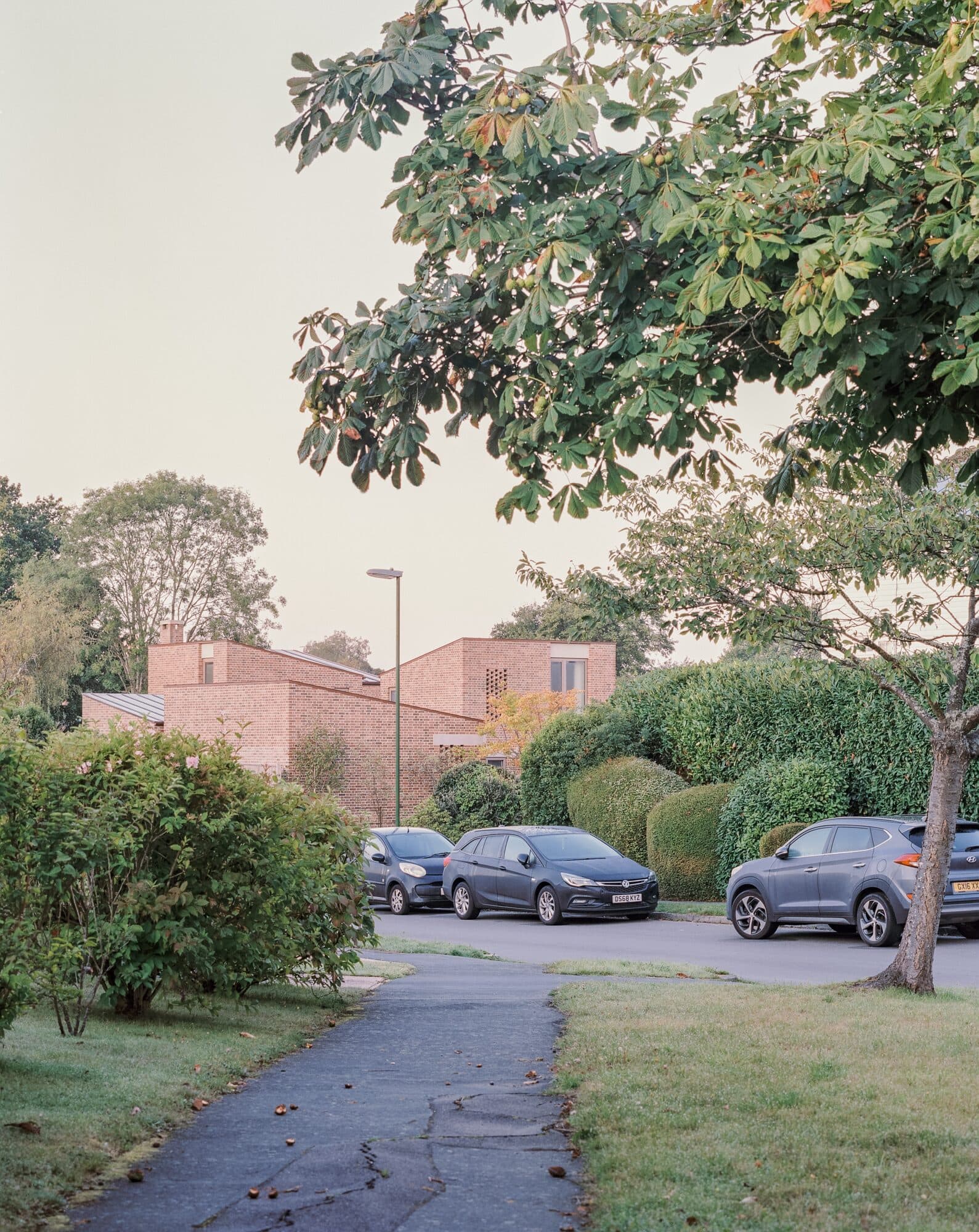Monkton